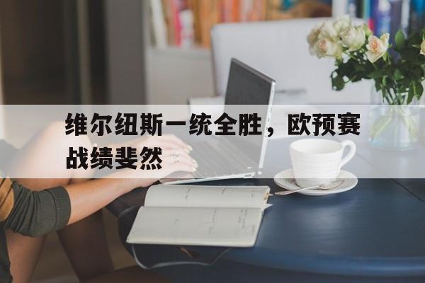 维尔纽斯一统全胜，欧预赛战绩斐然