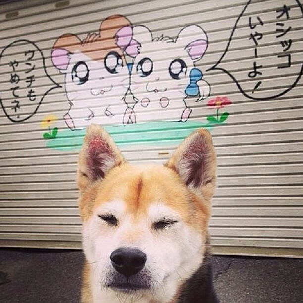 绿茵双城记，点球决胜的帝国与联赛争霸的雇佣兵