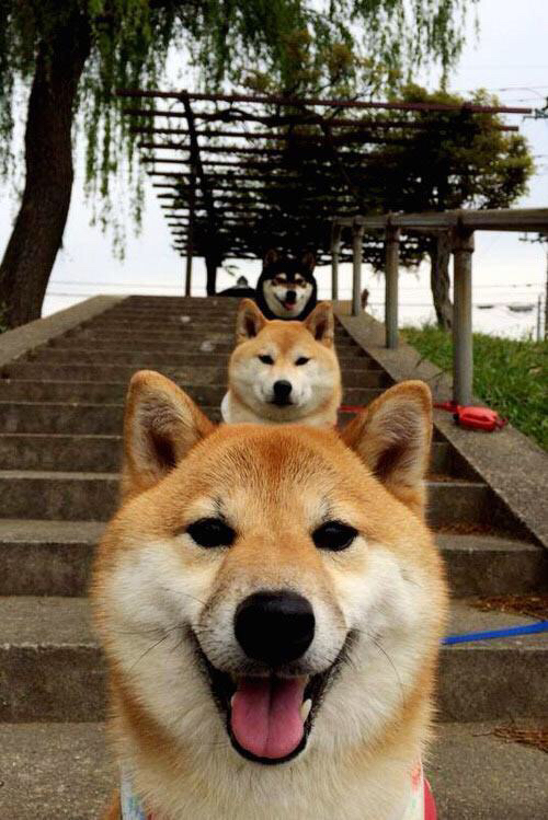 压制的艺术，瑞典连续得分闪耀加纳，布雷默化身胜负关键先生