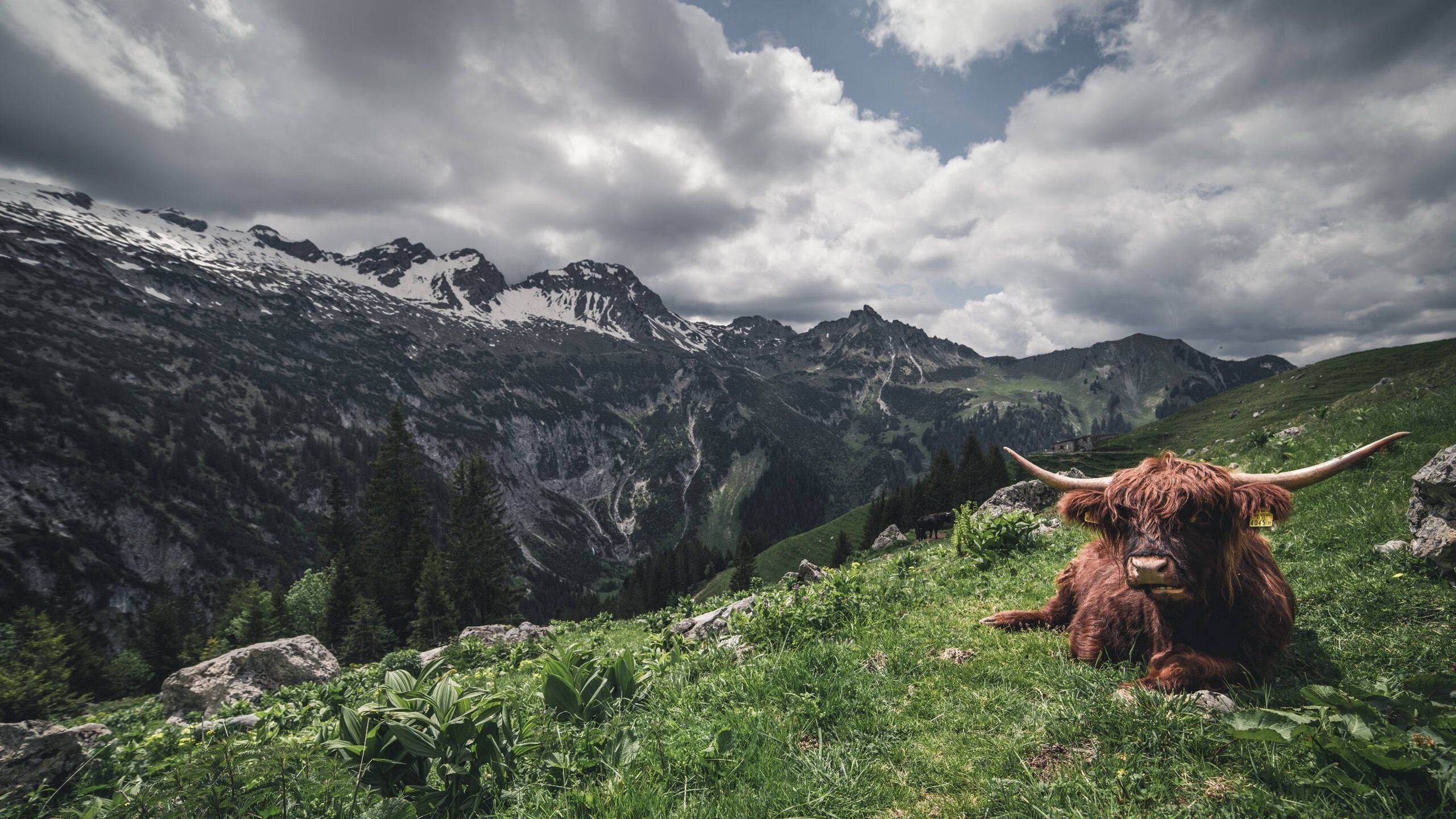 蜂芒毕露,保罗末节独取17分,黄蜂刺穿快船防线