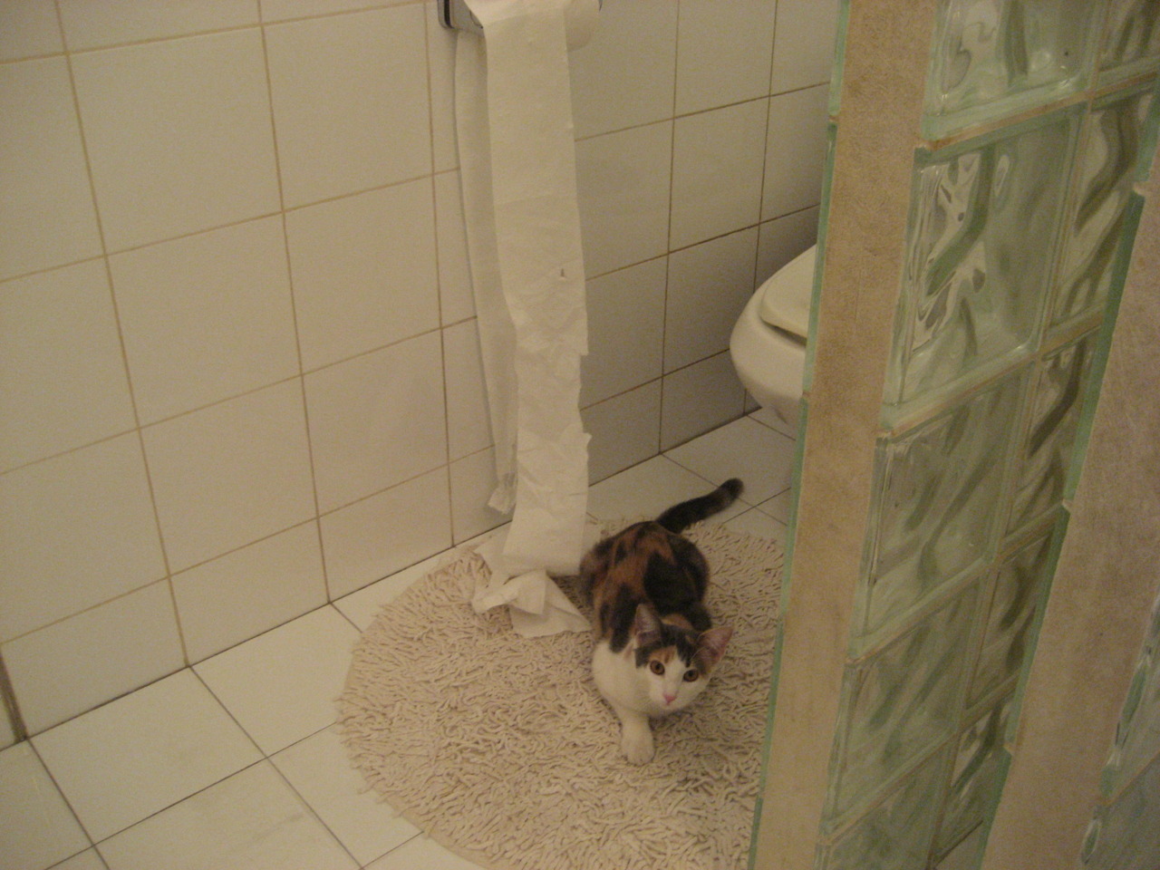 足篮交响,欧冠决赛焦点战,北京队红色浪潮连续得分压制雷霆