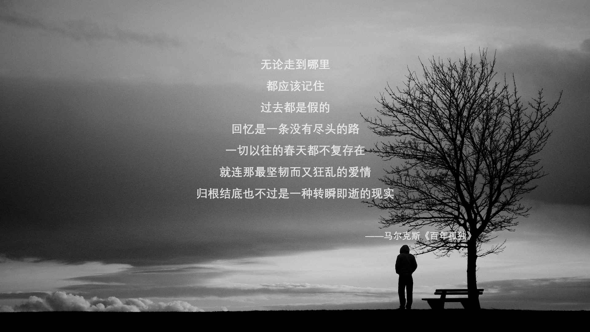 本泽马，当精密系统遇见原始呐喊，唯一的神祇在何处显灵？