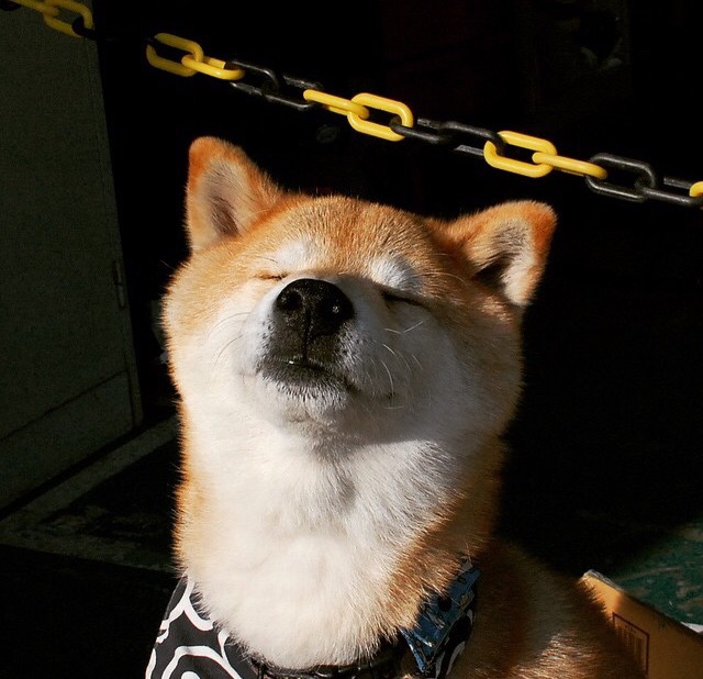 迪亚斯,今夜交响乐的指挥家