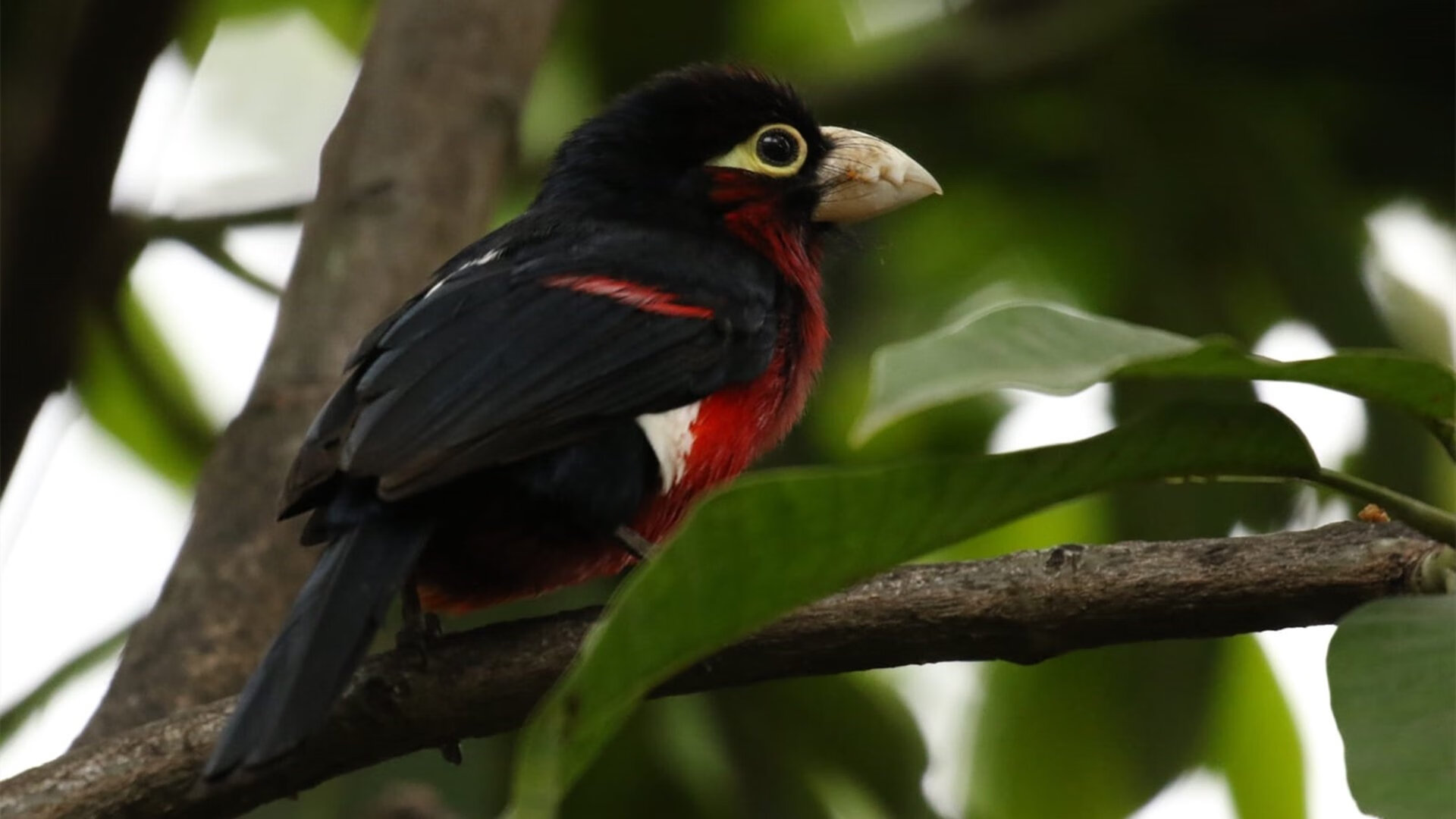 另一种季后赛，上海滩的泥泞搏杀与奥兰多的孤星闪耀