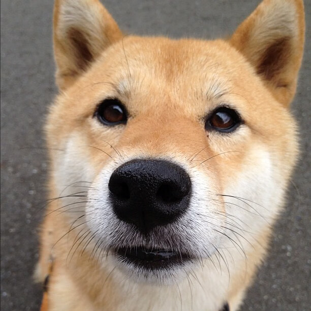 无名者的加冕礼,当阿拉巴取代萨拉赫成为非洲之夜的主角