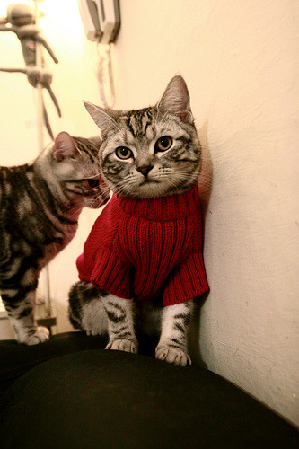 从恩比德之怒到保罗之静,骑士淘汰76人背后的攻防转换美学