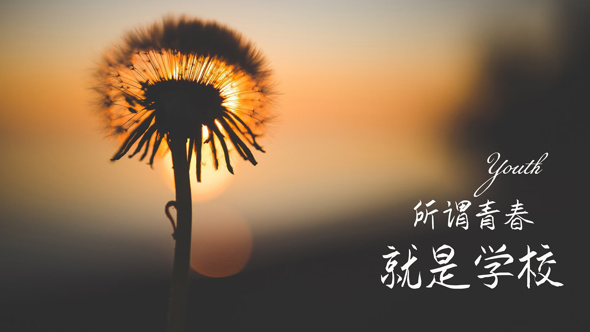 D组死亡之组的王冠之战，葡萄牙逆转厄瓜多尔，德布劳内以一人之力定义2026世界杯经典