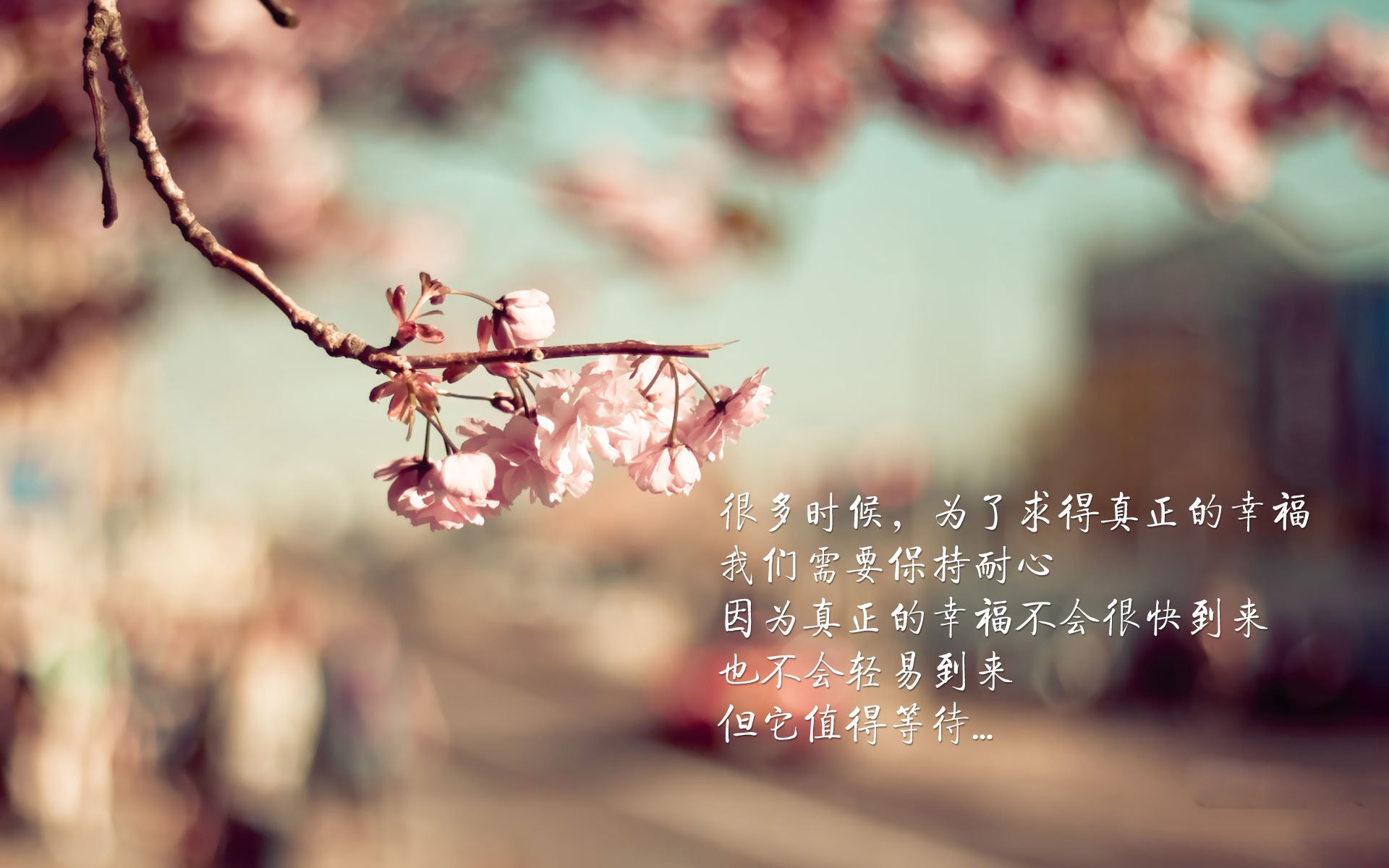 卡利之夜的唯一独白，当逆龄苏亚雷斯用一场胜利，为哥伦比亚写下2026的史诗注脚